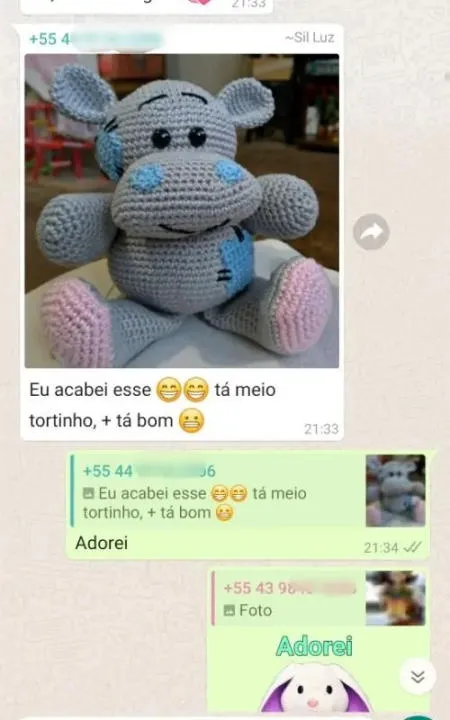 Resultado de aluna com hipopótamo