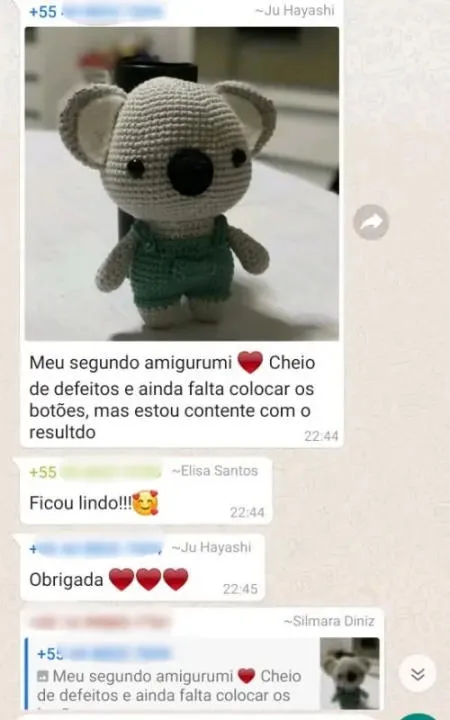 Resultado de aluna com koala