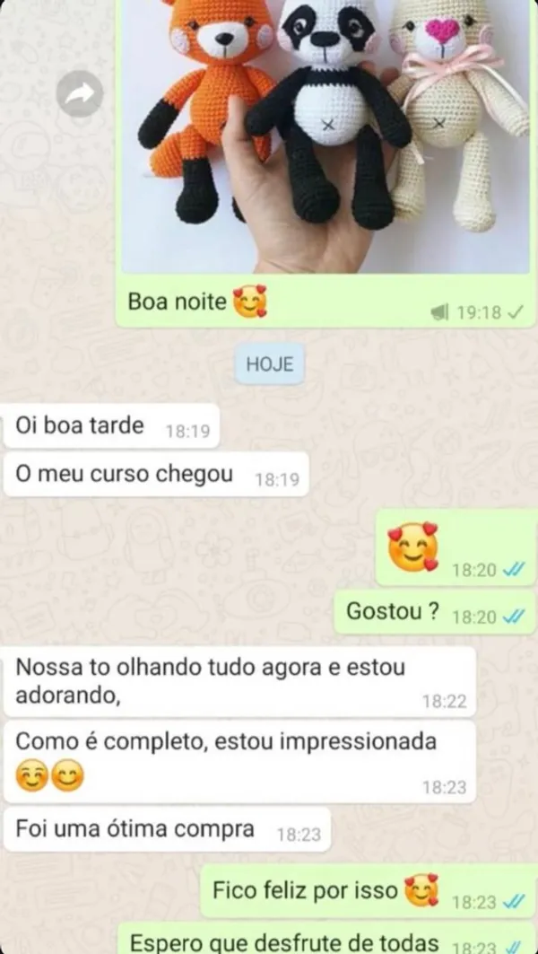 Depoimento de aluna no WhatsApp